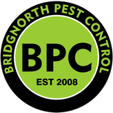 The Verminator Bridgnorth Pest Control - Wasp